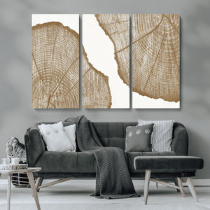Rustic Brown Tree Ring Wall Art Canvas Print – Framed and