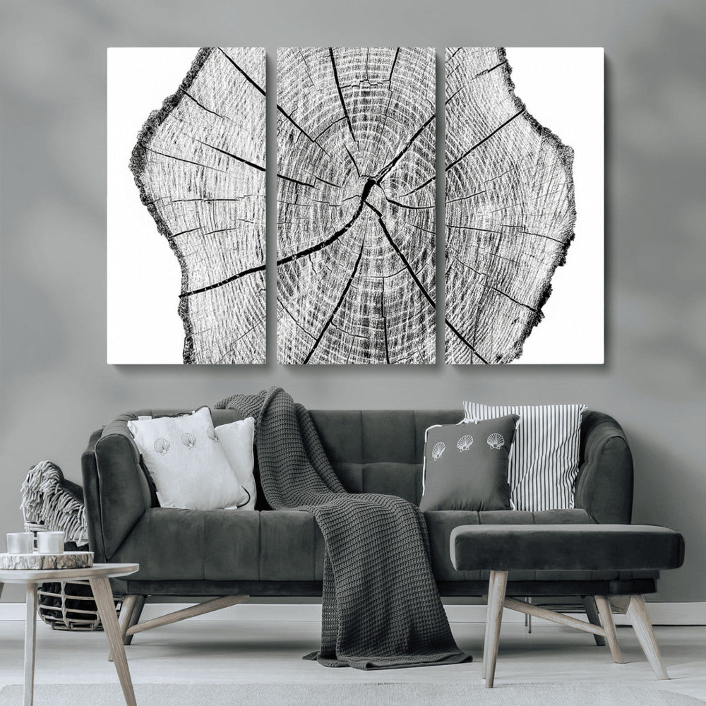 Rustic Tree Ring Wall Art Canvas Print – Framed and Ready to