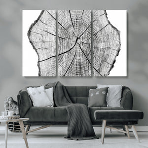 Rustic Tree Ring Wall Art Canvas Print – Framed and Ready to
