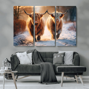 Scottish Highland Cow Horn Farm Wall Art Canvas Print