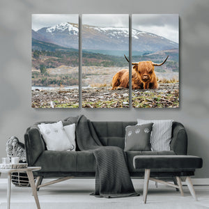 Highland Cow Horn Farm Wall Art Canvas Print