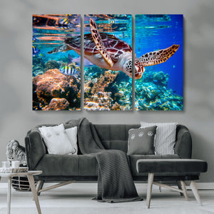 Underwater Coral Reef Sea Turtle Wall Art Canvas Print,