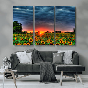 Golden Sunflower Field at Sunset – Breathtaking Sky and
