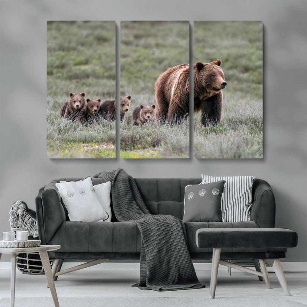 Wildlife Photography of 399 Grizzly Bear Cubs | Queen of the