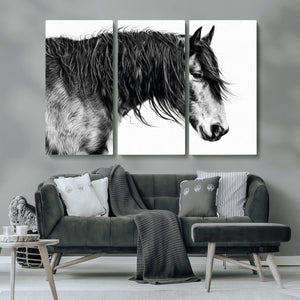Majestic Horse Wall Art – Framed Black White Portrait Canvas