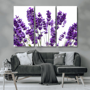 Lavender Flower Wall Art Canvas Print