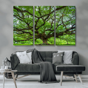 Angel Oak Tree Wall Art Canvas Print – Framed Majestic