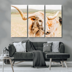 Texas Longhorn Wall Art Canvas Print – Framed Spotted Cow