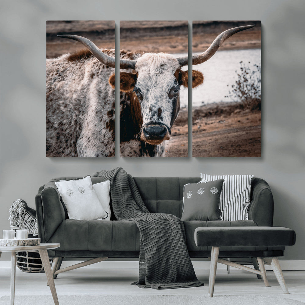 Texas Longhorn Wall Art Canvas Print – Framed Spotted Bull