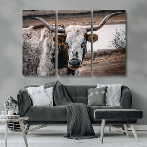 Texas Longhorn Wall Art Canvas Print – Framed Spotted Bull