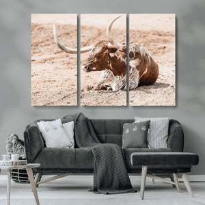 Texas Longhorn Wall Art – Framed Resting Bull Canvas
