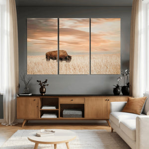 MyCanvas -