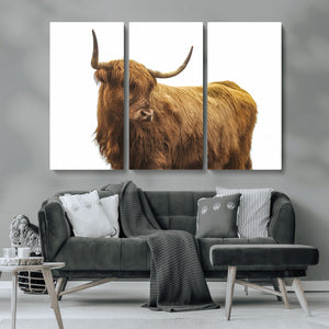 Highland Cow Wall Art Canvas Print – Framed Farmhouse Rustic