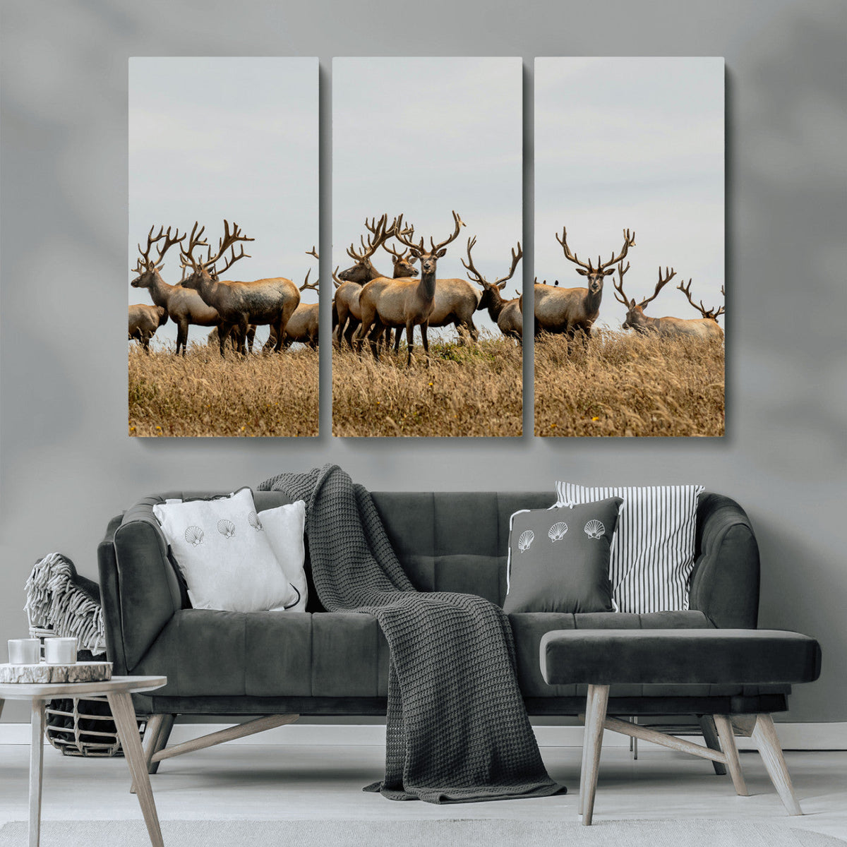 Elk Herd Wall Art Canvas Print – Framed Wildlife Photography