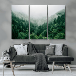Misty Green Forest Canvas Print – Framed Serene Foggy Pine