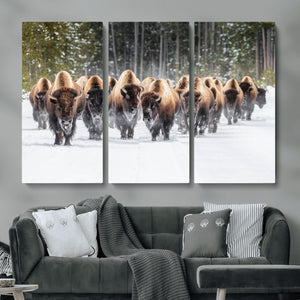 American Bison Herd Wall Art Canvas Print – Powerful Winter