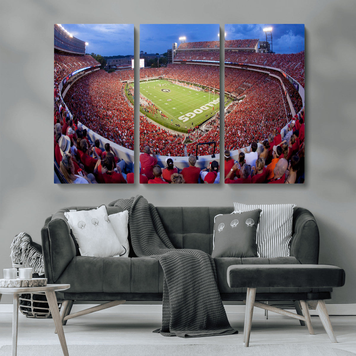 Dooley Stadium Wall Art, Sports Arena Canvas Print, Dooley