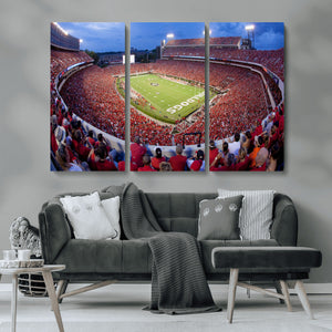 Dooley Stadium Wall Art, Sports Arena Canvas Print, Dooley