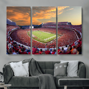 Dooley Stadium Wall Art, Sports Arena Canvas Print, Dooley