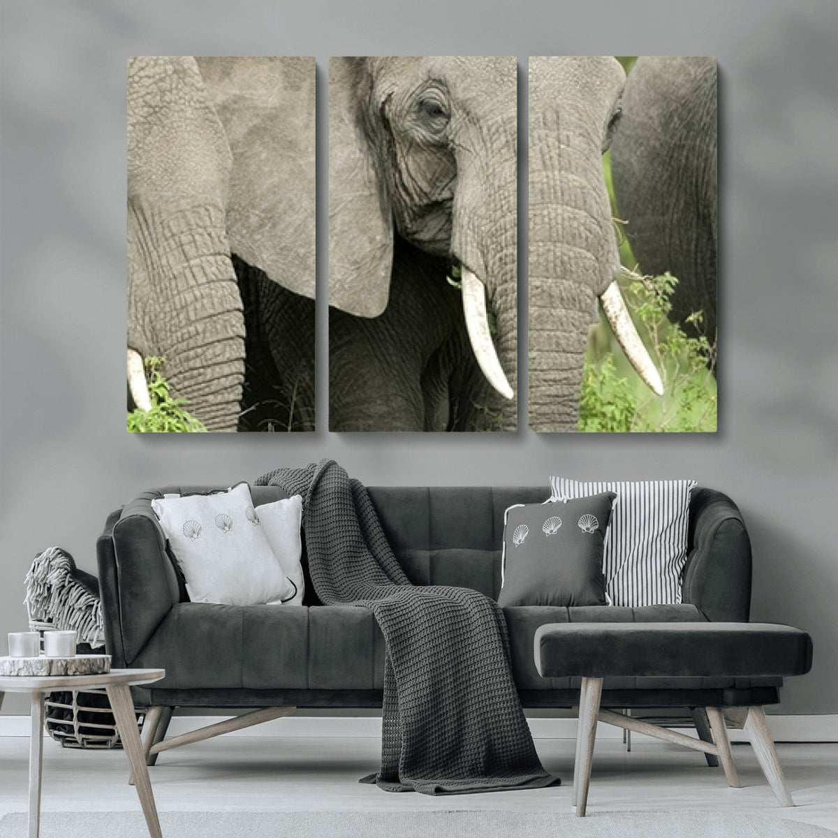 Wild Elephant Wall Art Canvas Print