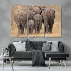 Wild Elephant Wall Art Canvas Print
