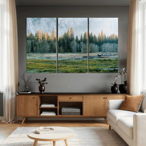 Forest Meadow Wall Art Canvas Print, Pine Tree Landscape