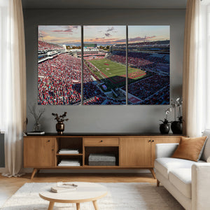 Donald W. Reynolds Razorback Stadium Wall Art Canvas Print –