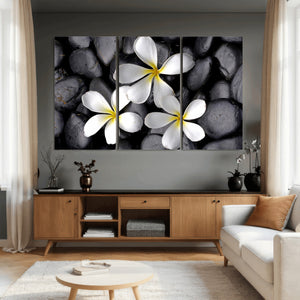 Plumeria Frangipani Black Stone Canvas | White Flower Spa
