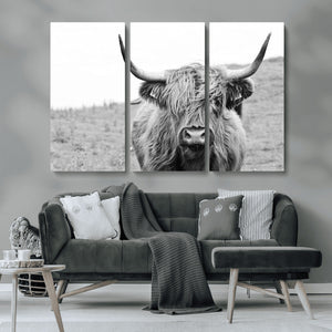 Newfoundland Cow Art Wall Art, Black White Cow Art Wall Art