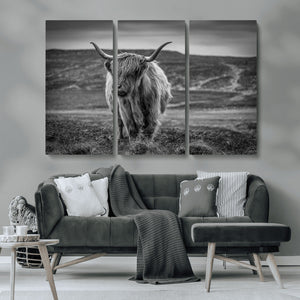 Fluffy Cattle Wall Art Print, Highland Cow Canvas, Framed