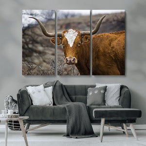 Texas Longhorn Canvas Wall Art - Longhorn Steer Canvas Wall