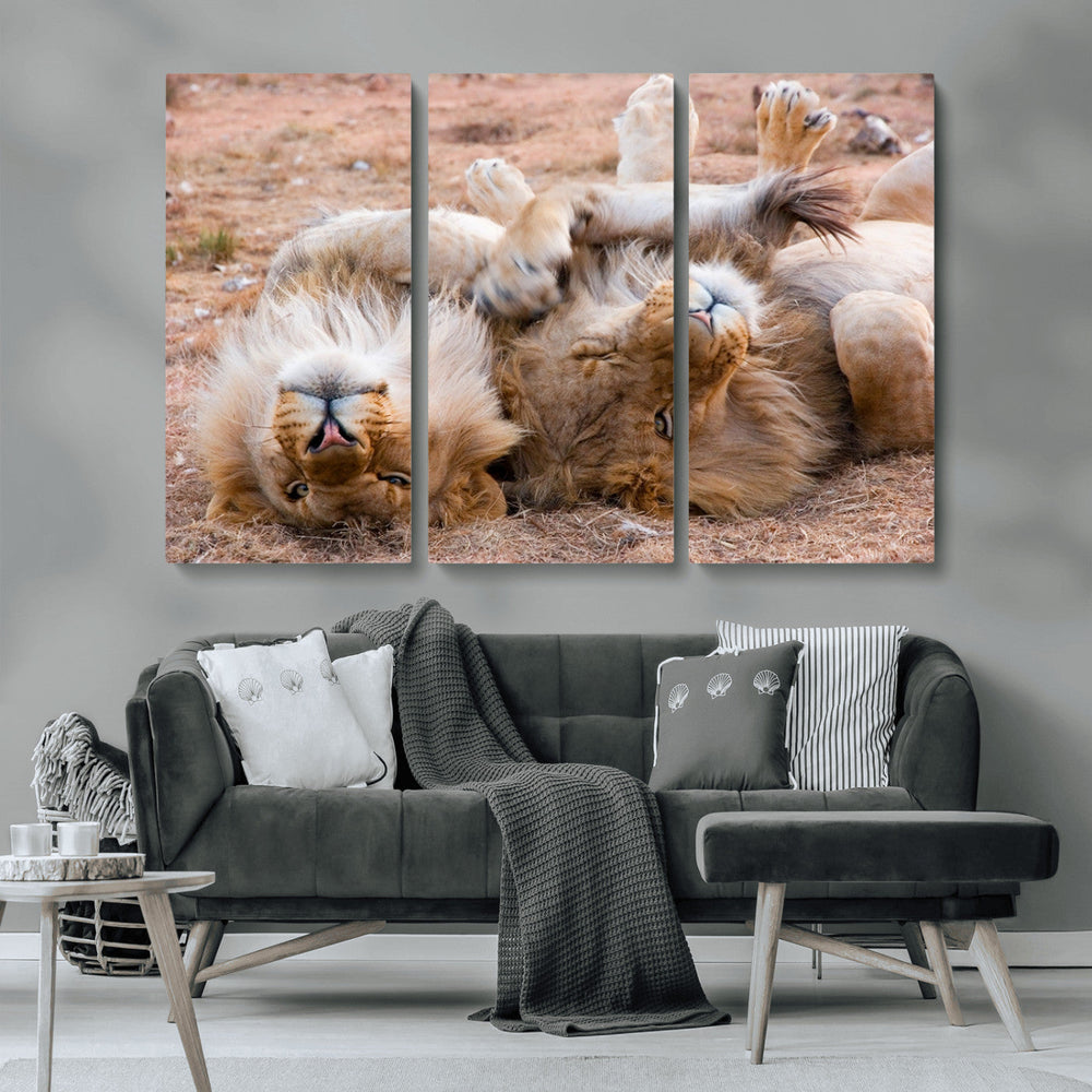 Lion Pair Wall Art Canvas Print – Framed Wildlife Scene with