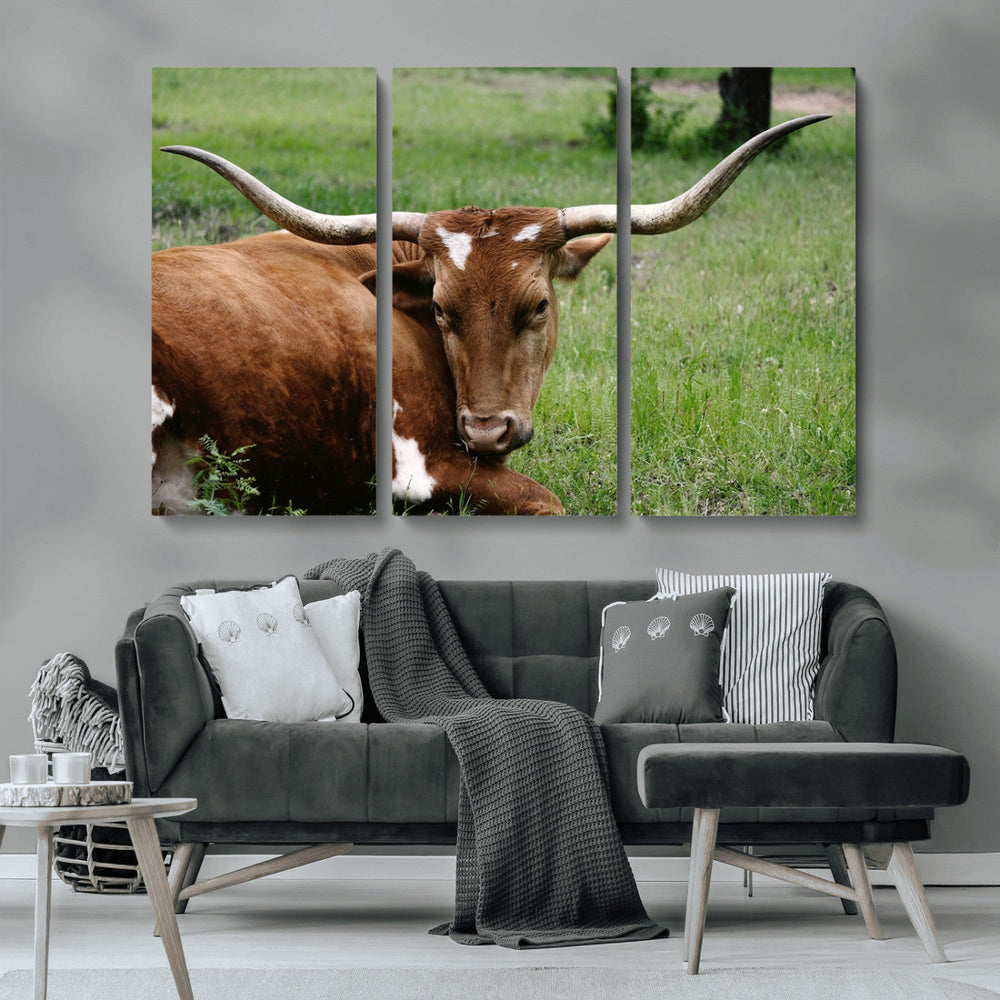 Longhorn Cow Animal Wall Art Canvas Print