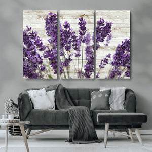 Lavender Herb Wall Art Canvas Print