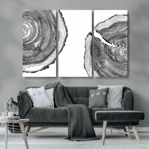 Abstract Large Tree Rings – Minimalist Black and White Wood