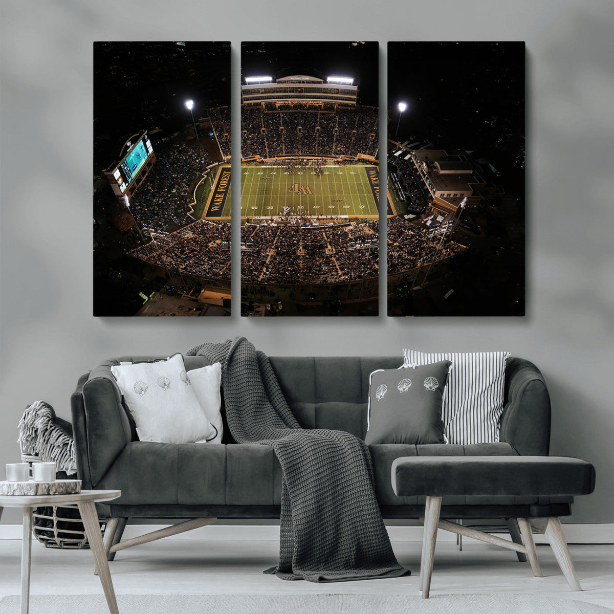Wake Forest University Demon Deacons Canvas Printi, Football