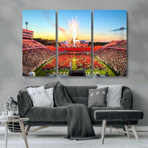North Carolina State University Canvas Print, North Carolina