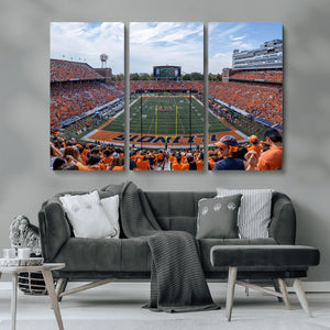 University of Illinois Fighting Illini Football Team Print