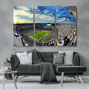 Framed USF Bulls Football Team Print - Tampa Raymond James
