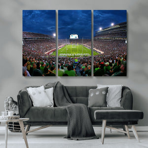 Michigan State Spartans Football Team Print - East Lansing