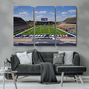 Rice University Owls Football Team Print - Houston Rice