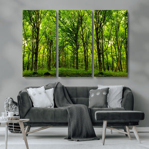 Lush Green Forest Canvas Print | 3-Panel Forest Wall Art |