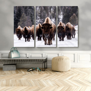 Bison Wall Art Canvas Print- Bison Herd Canvas Wall Art –