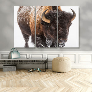 Bison Wall Art Canvas Print For Farmhouse, Wild Animal Wall