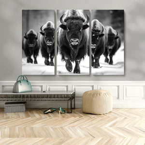 American Bison Art | Buffalo Herd Wall Art Canvas Print, BW