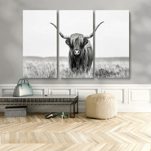 Highland Cow Canvas Wall Art – Majestic Beauty in Black and