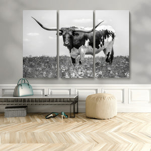 Texas Black White Highland Longhorn Cow Wall Art Canvas