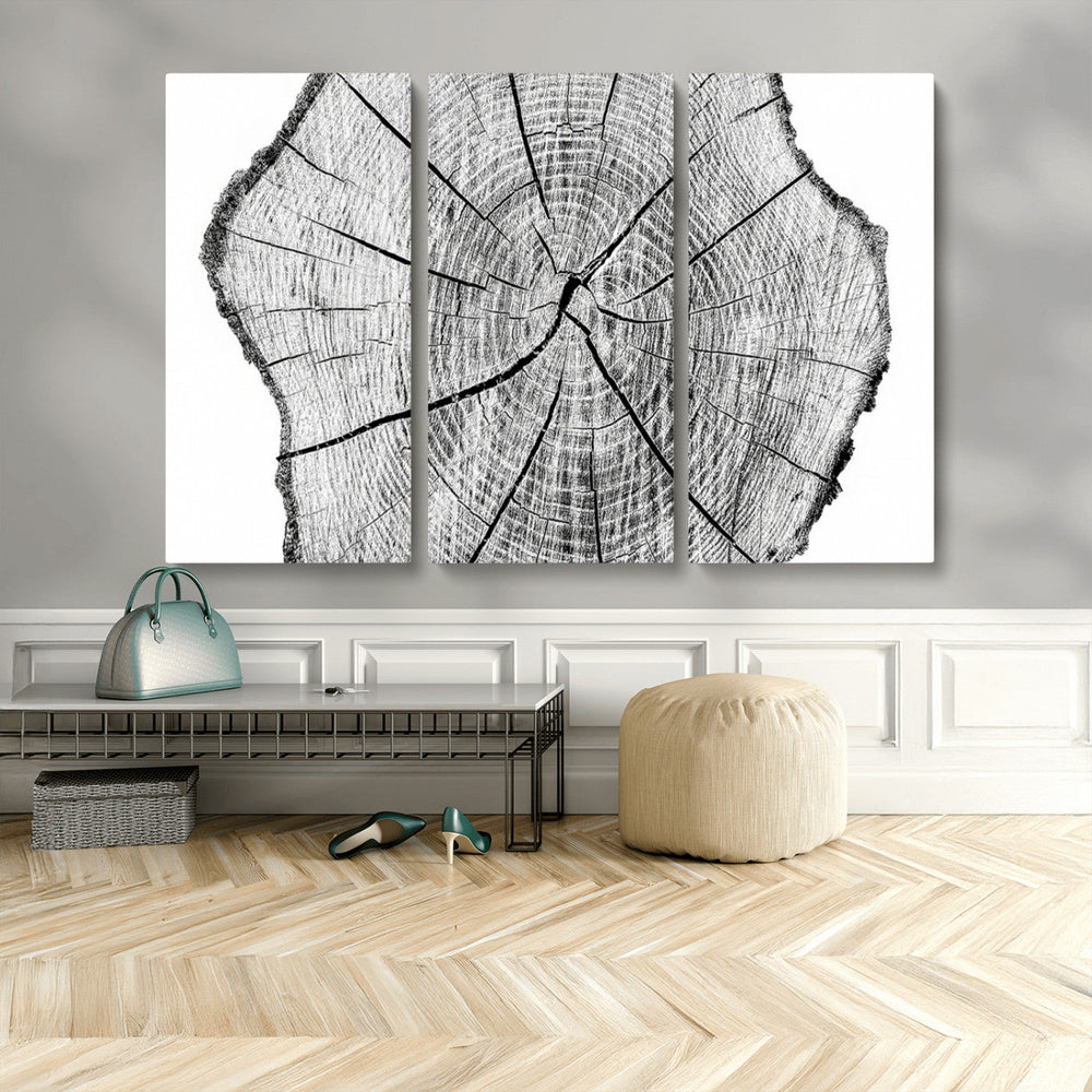 Rustic Tree Ring Wall Art Canvas Print – Framed and Ready to