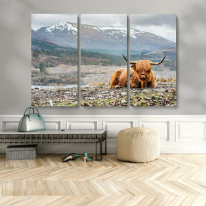 Highland Cow Horn Farm Wall Art Canvas Print