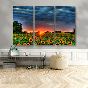 Golden Sunflower Field at Sunset – Breathtaking Sky and
